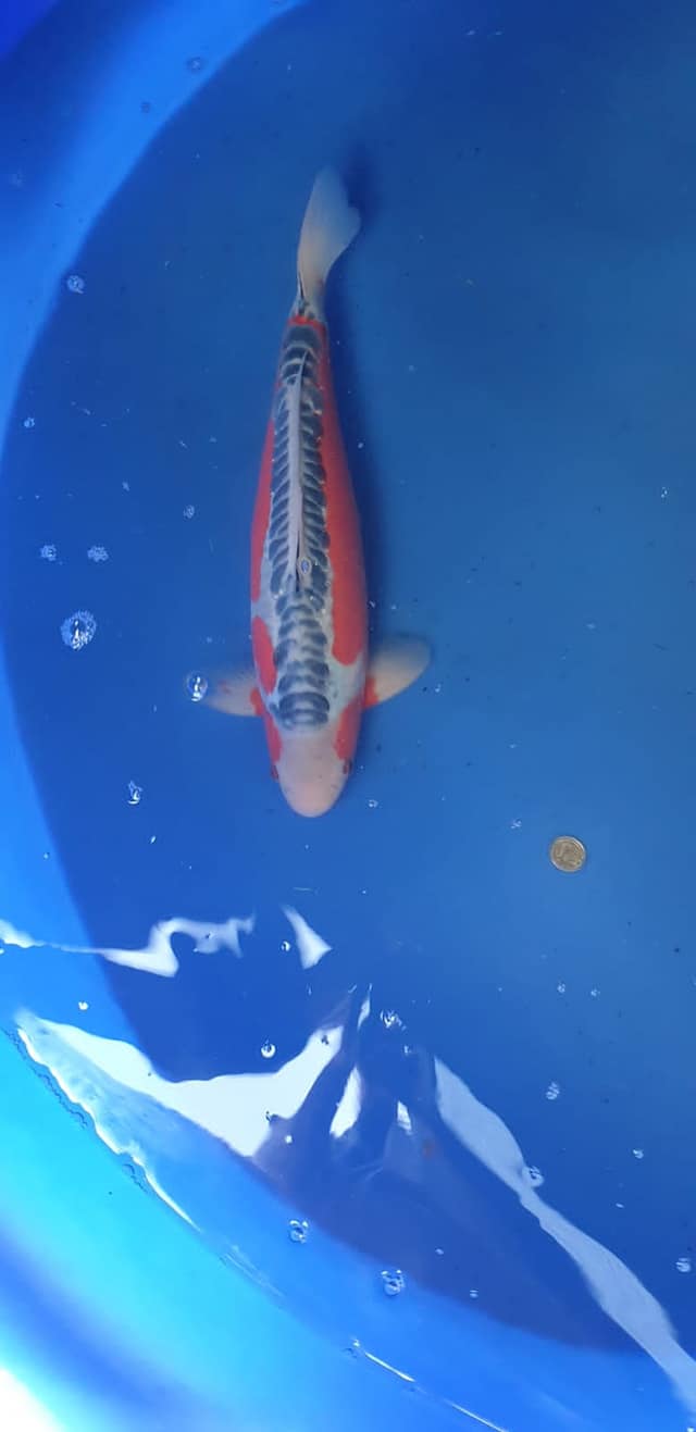 204183677_4237207489656111_3207661035505793884_n