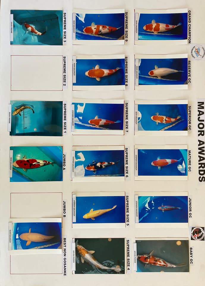 205052998_4237208402989353_1390856677027752511_n