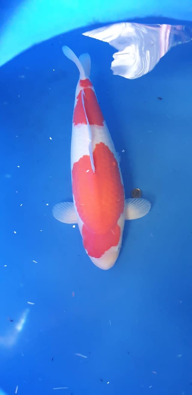 205271838_4237207399656120_7507676848992903148_n