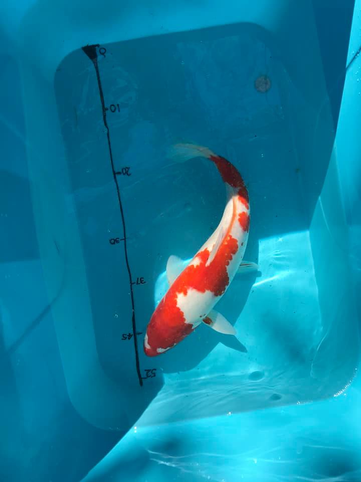 206836177_4237208026322724_6505770703164738628_n