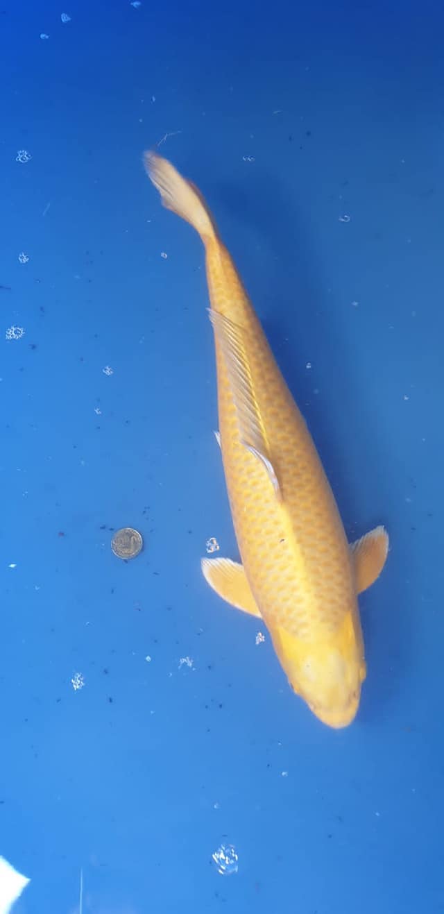 208659694_4237207876322739_1757906686416114268_n