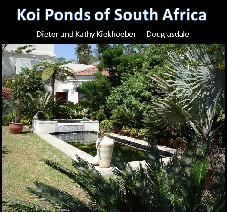 kposa - Dieter Kiekhoeber