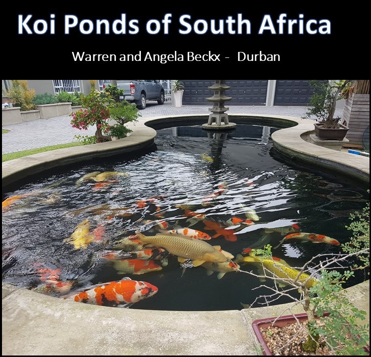 kposa - Warren beckx