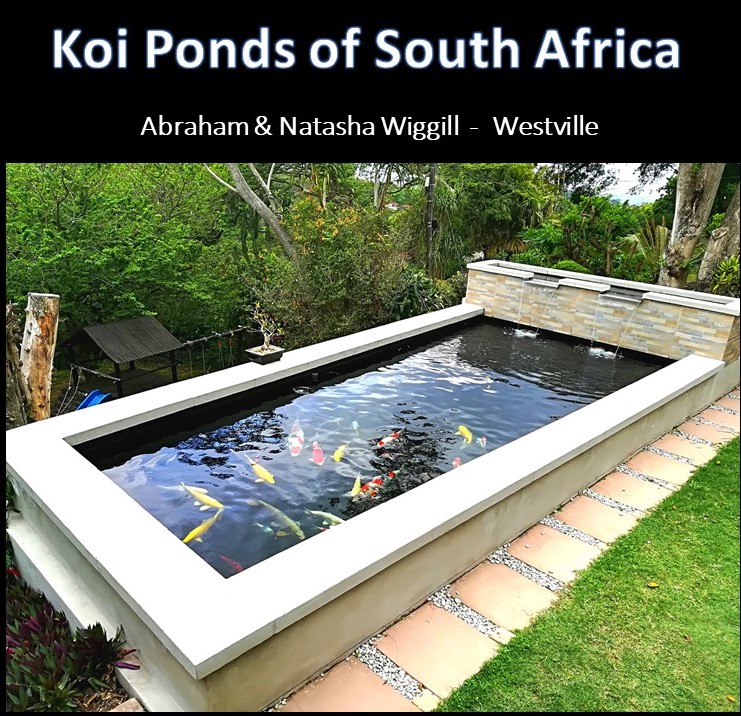 kposa - abram wiggle