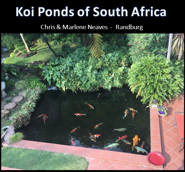 kposa - chris neaves 1