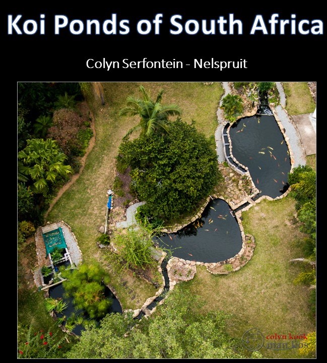 kposa - colyn serfontein