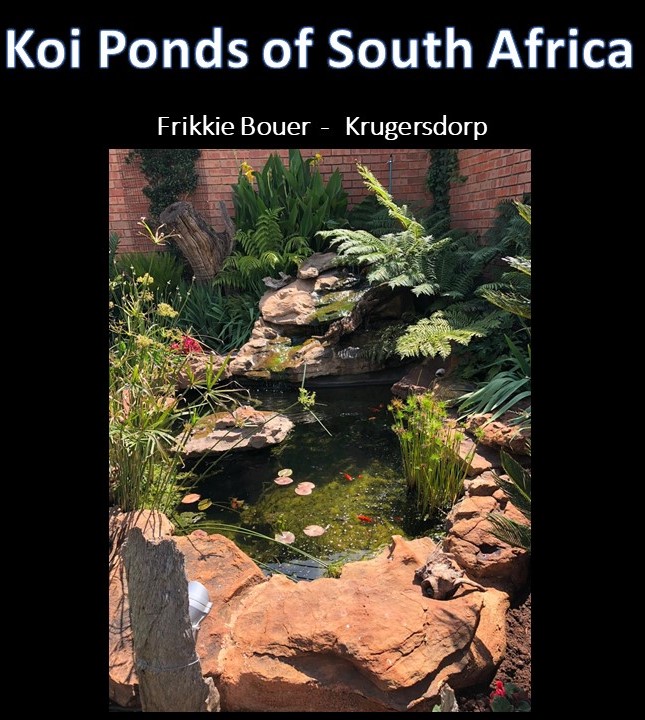 kposa - frikkie bouer