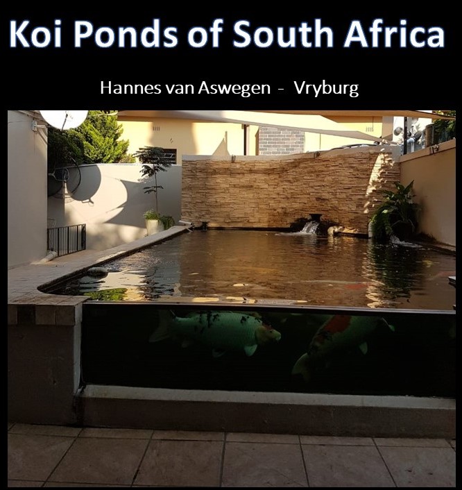 kposa - hannes van aswegen