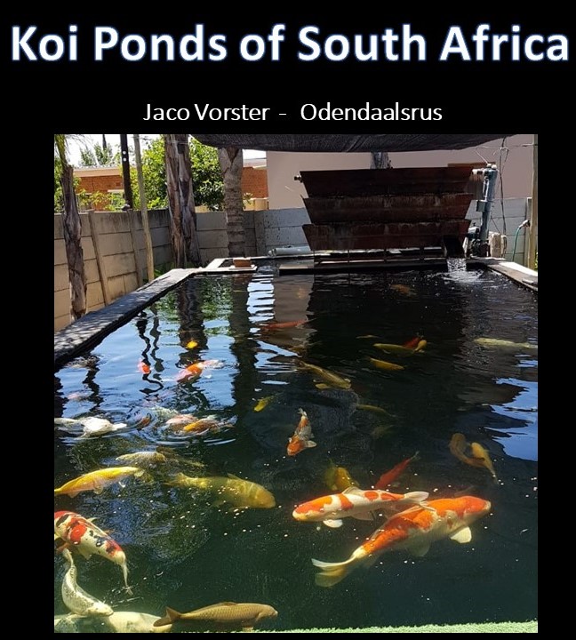 kposa - jaco vorster