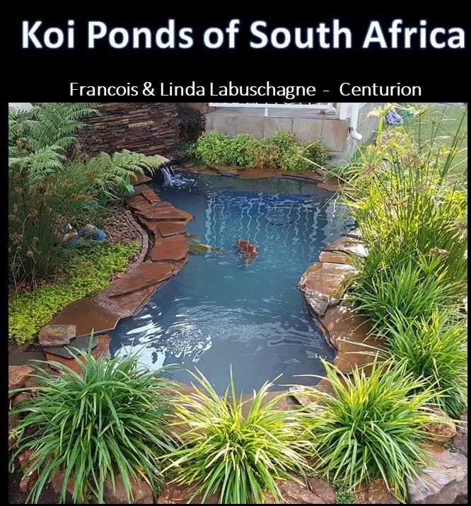 kposa - linda labuschagne