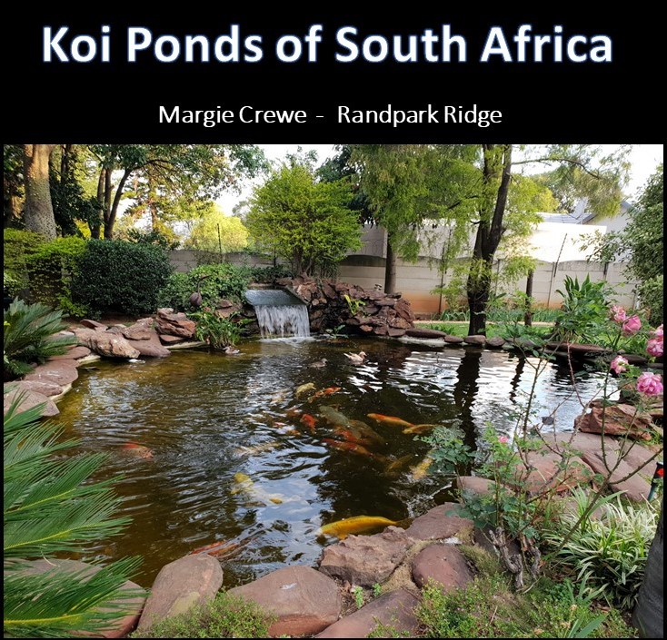 kposa - margie crewe