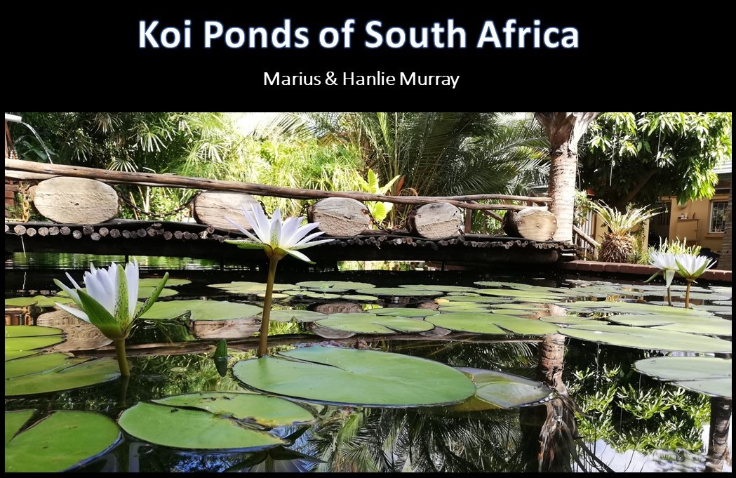 kposa - marius & Hanlie Murray a