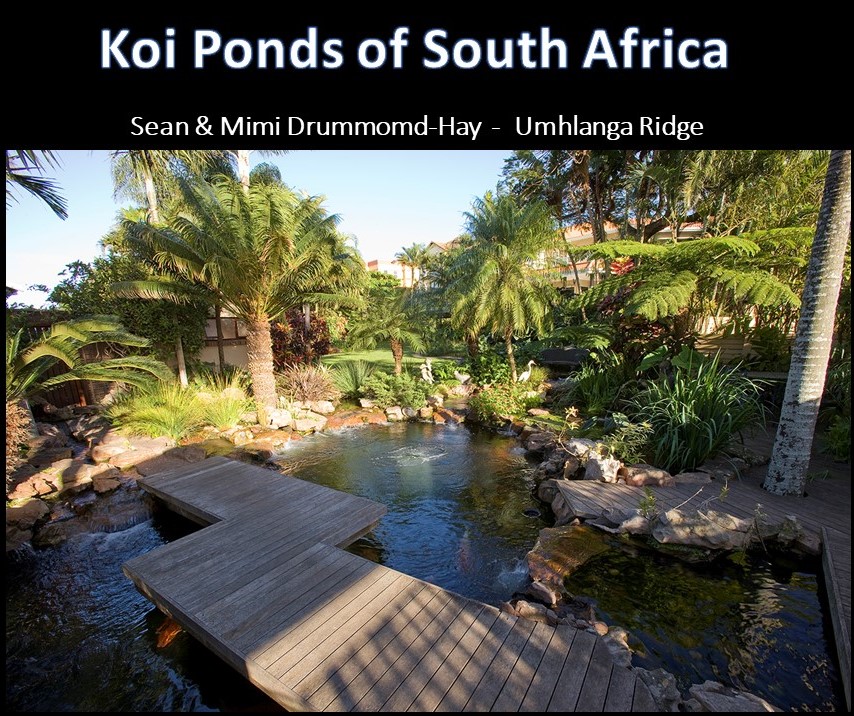 kposa - sean drummond hay