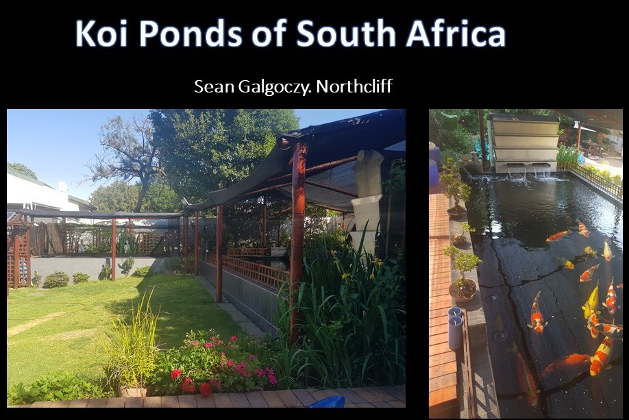 kposa - sean galgoczy