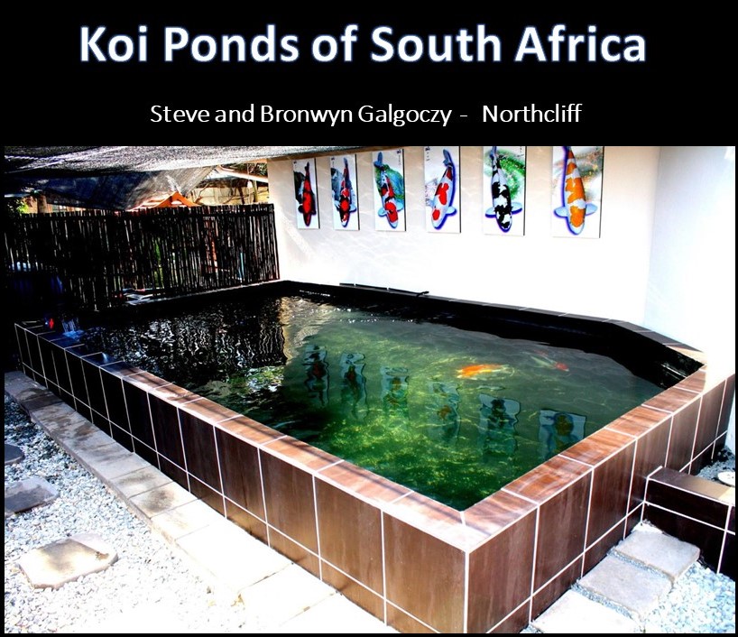 kposa - steve galgoczy