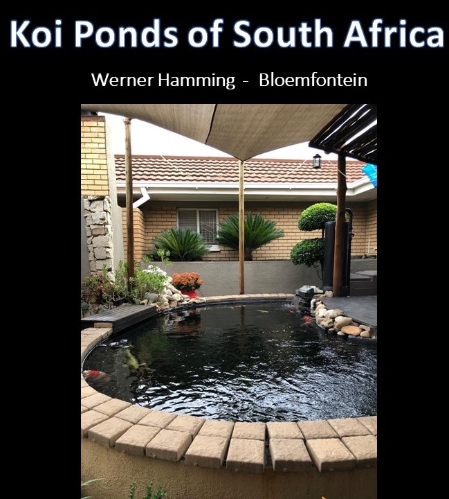 kposa - werner hamming