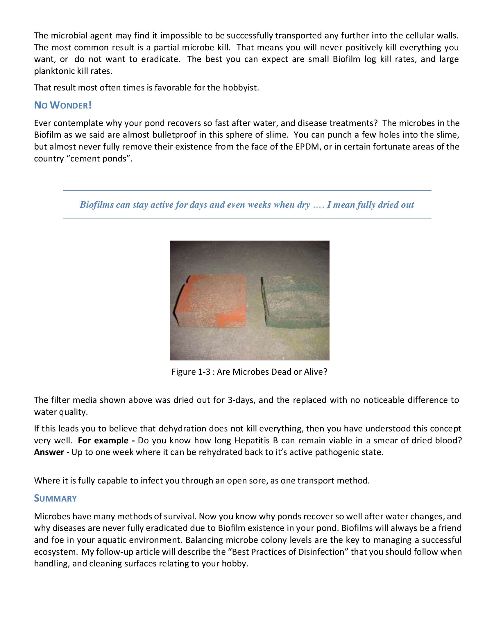 Biofilms - Vangel_00003
