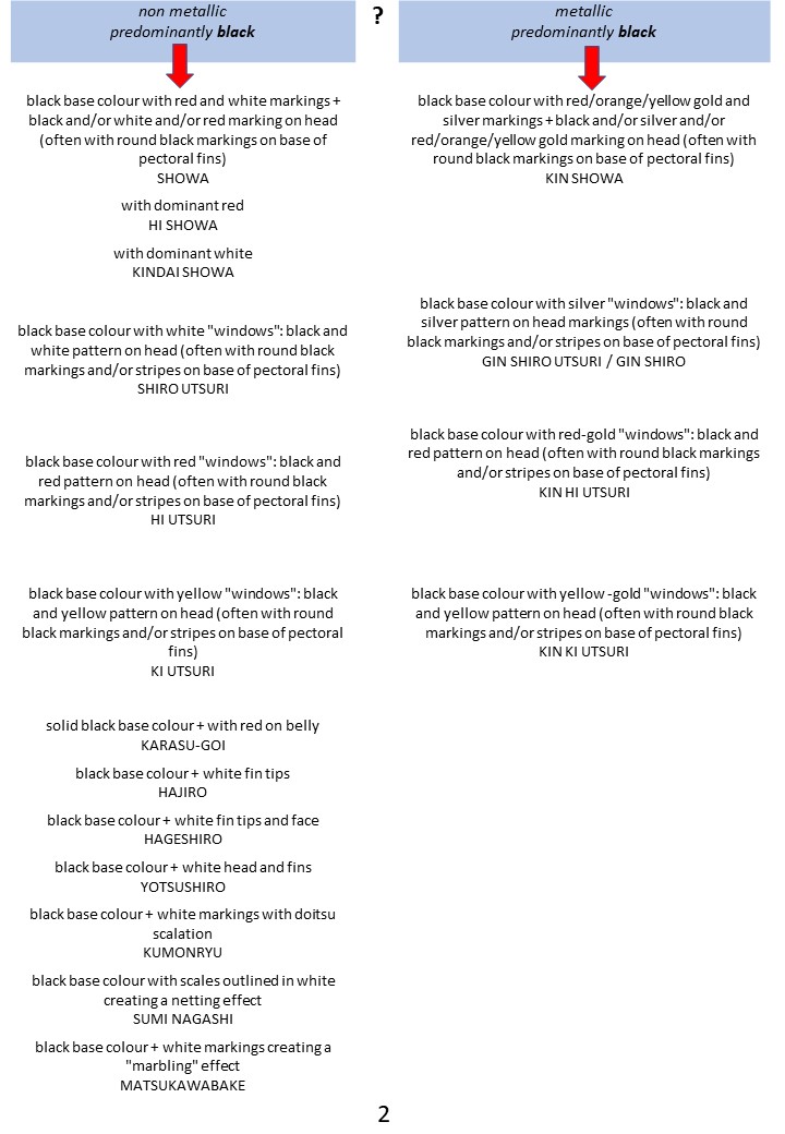 Pond side Identification of Koi 2