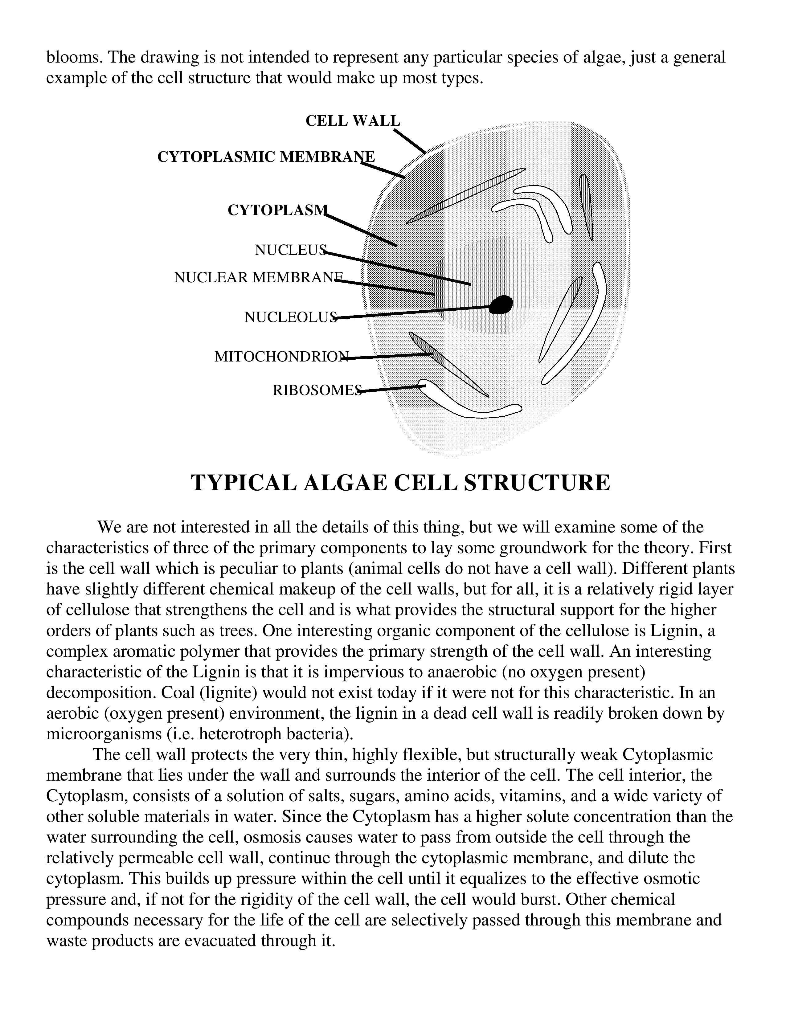 Green Water - Norm Meck final_6