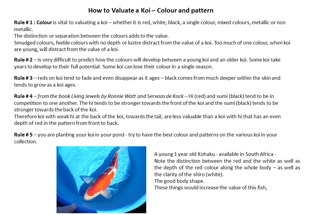 valuating koi 4