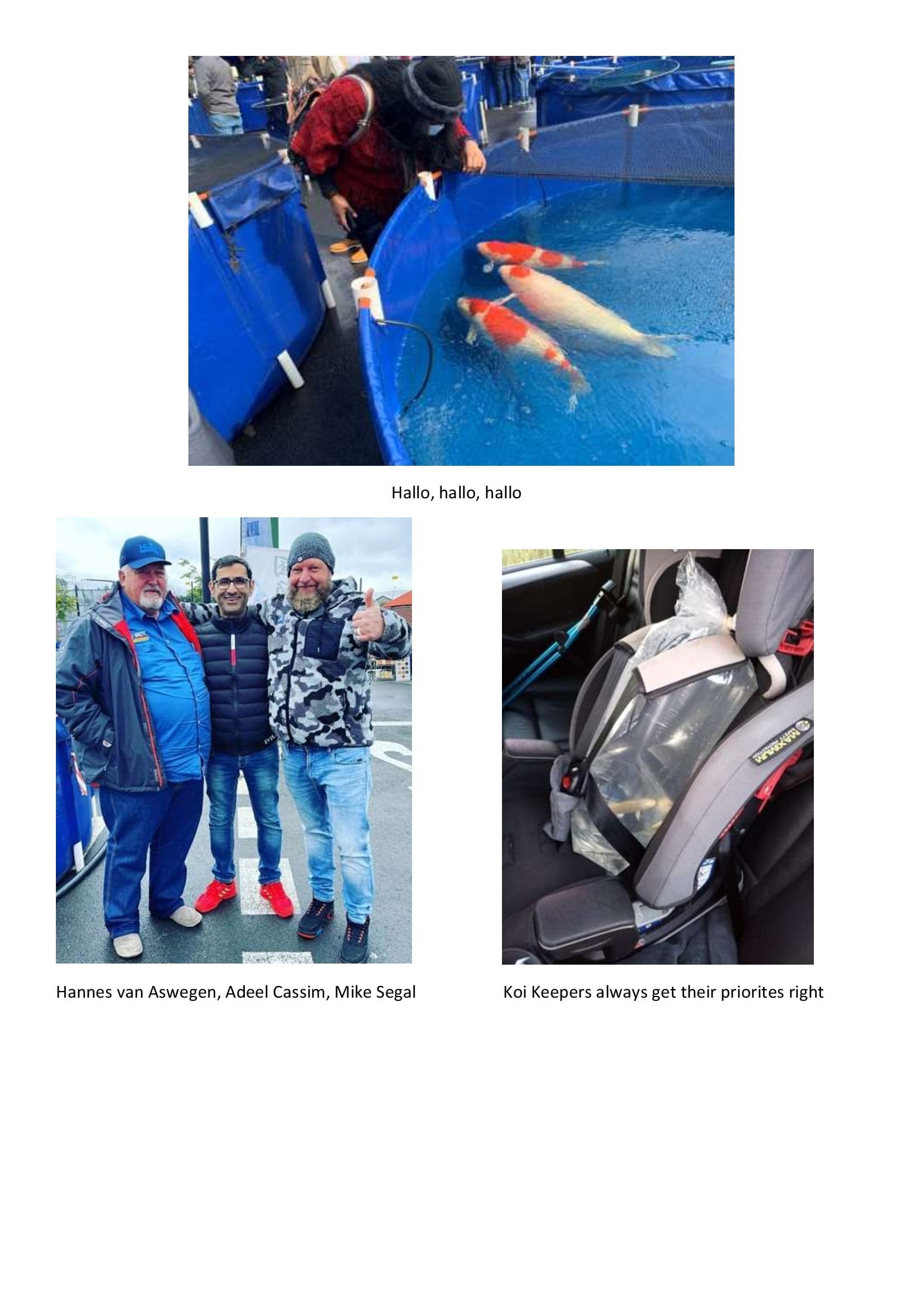 Newsletter #3 Memories, Dreams and Reflections_00013