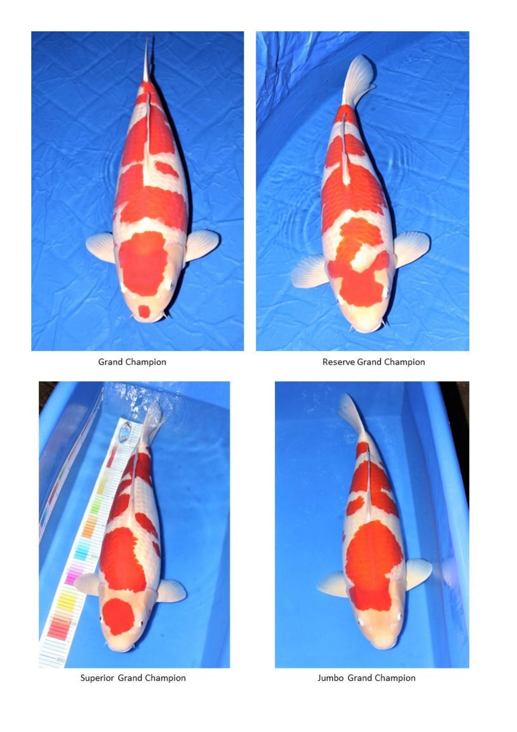 Results - 2023_00012