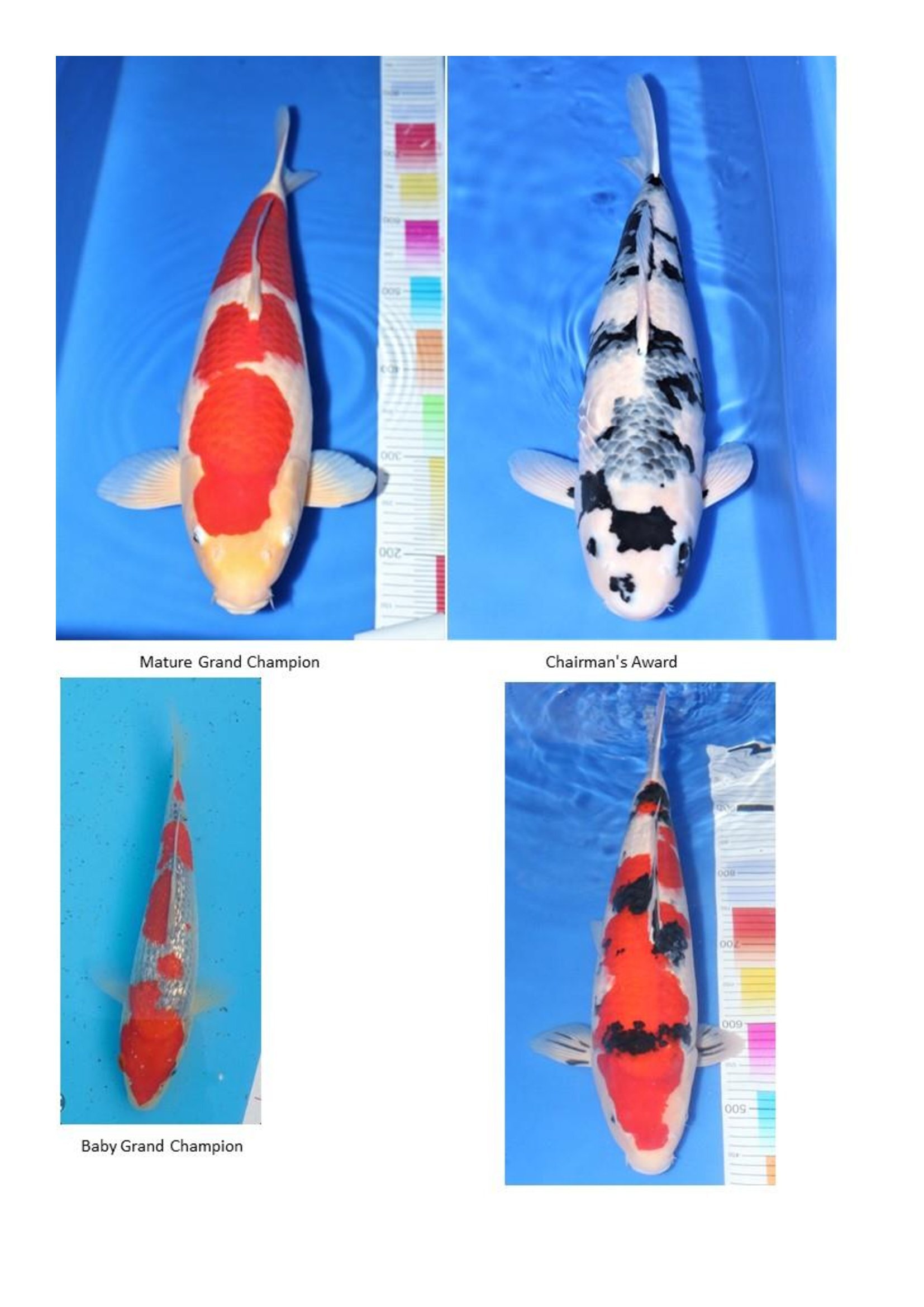 Results - 2023_00013