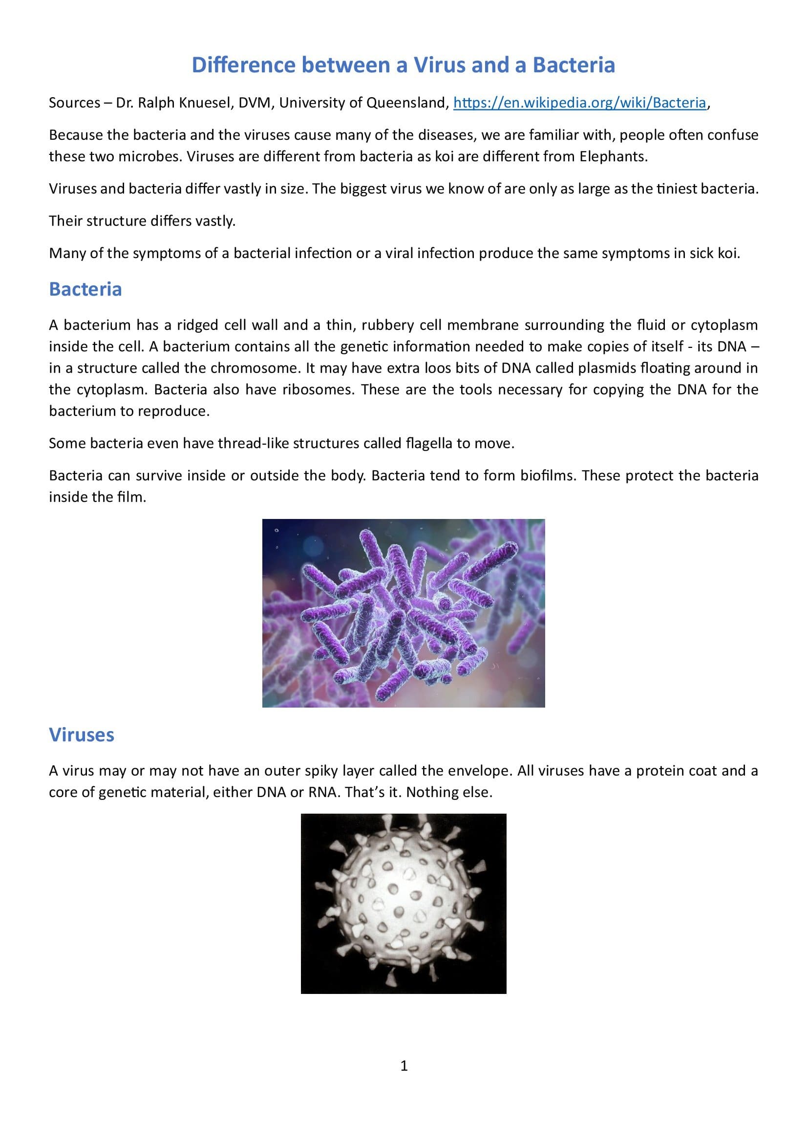 Difference between a Virus and a Bacteria_00001