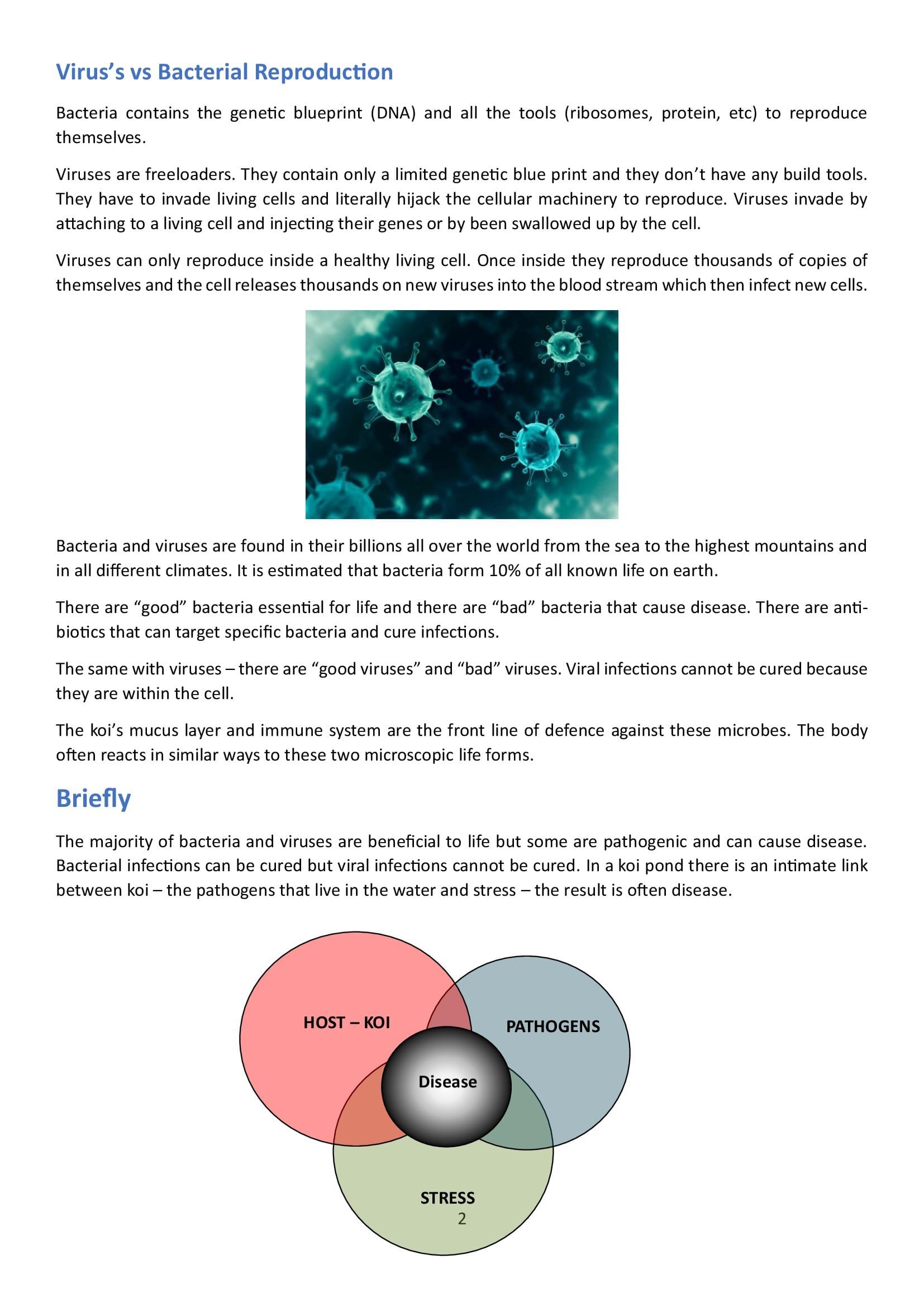 Difference between a Virus and a Bacteria_00002