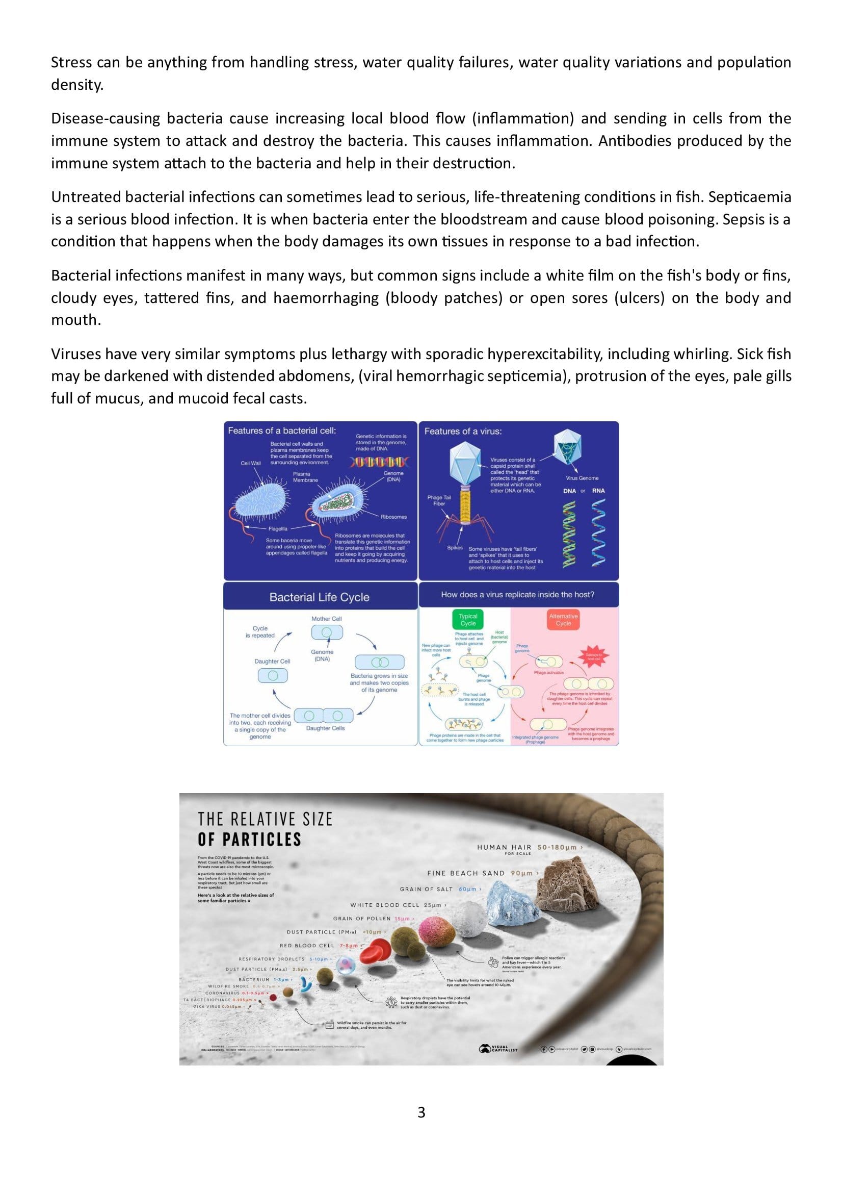 Difference between a Virus and a Bacteria_00003