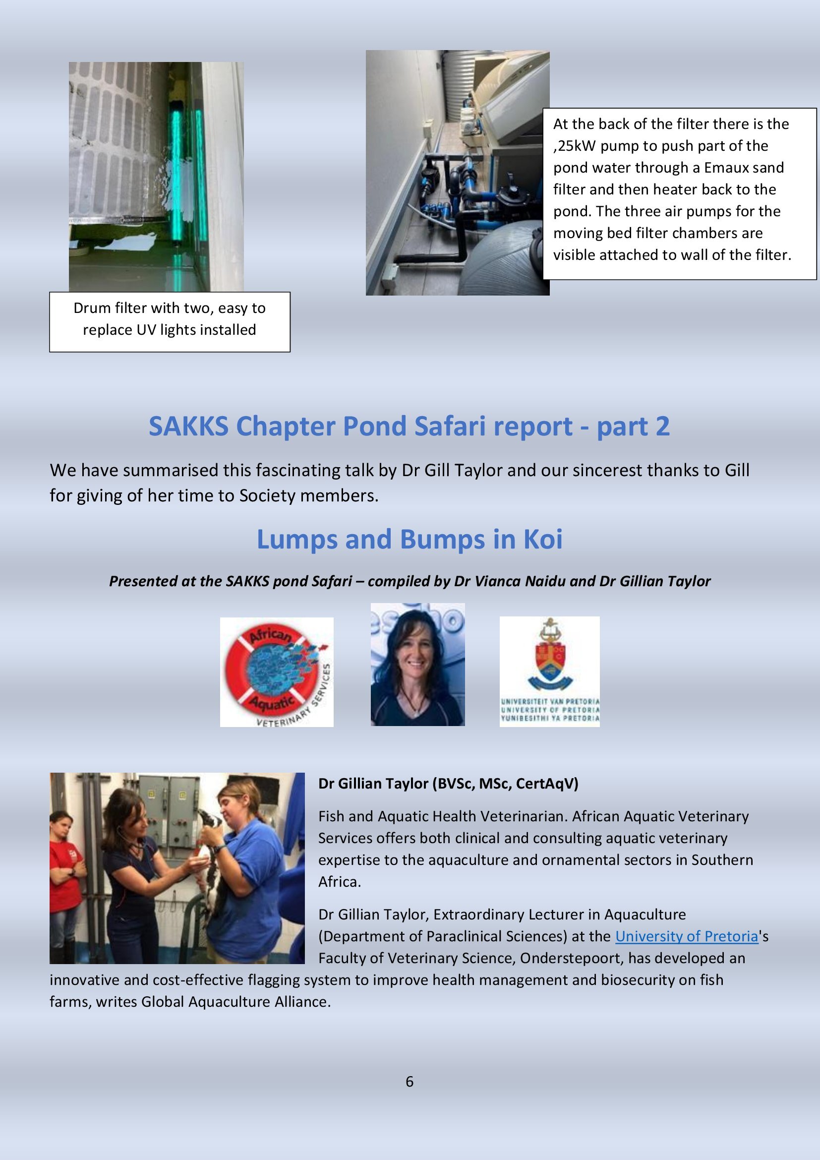 Newsletter # 10 December 2024 - final_00006