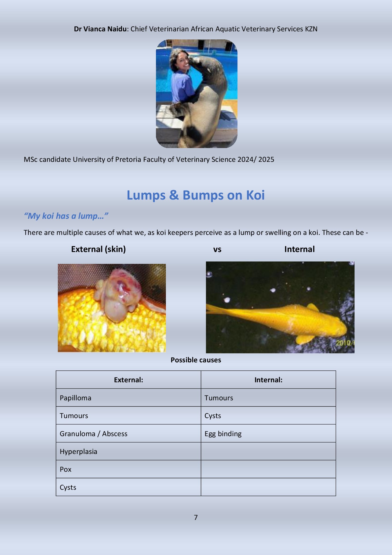 Newsletter # 10 December 2024 - final_00007