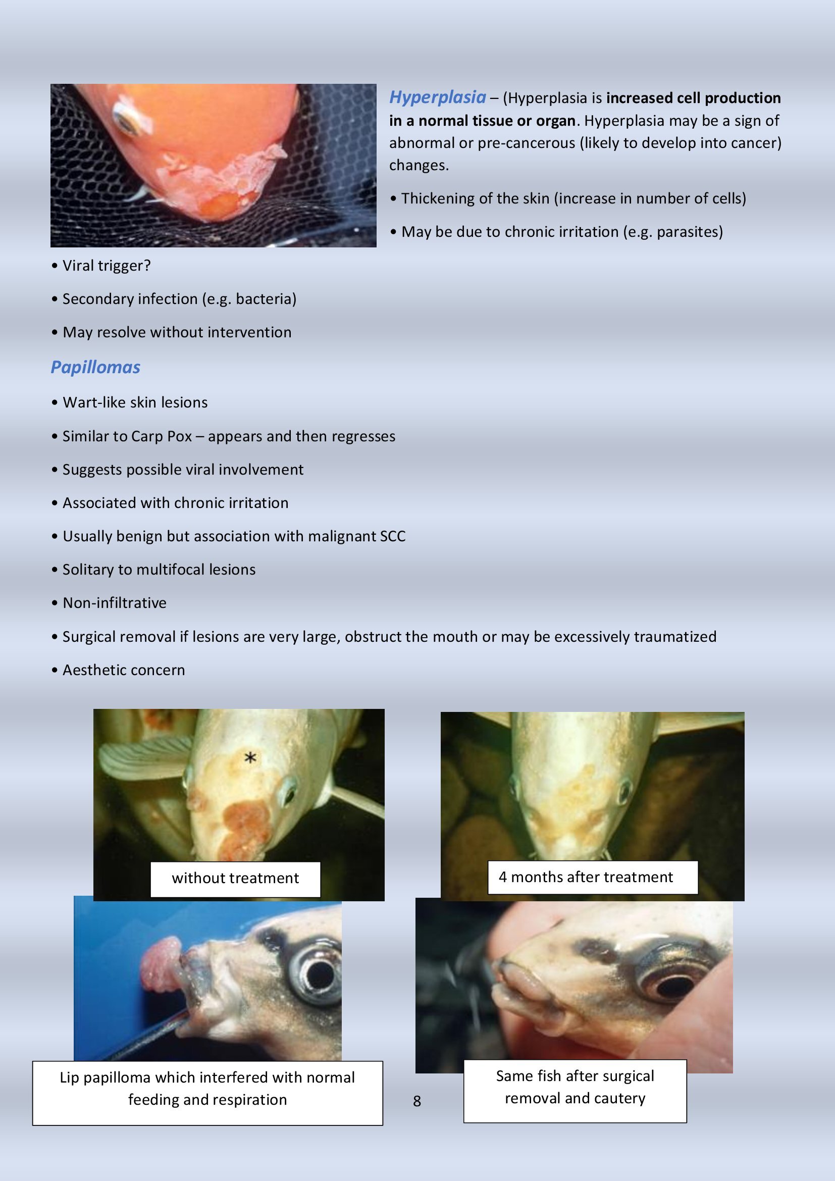 Newsletter # 10 December 2024 - final_00008