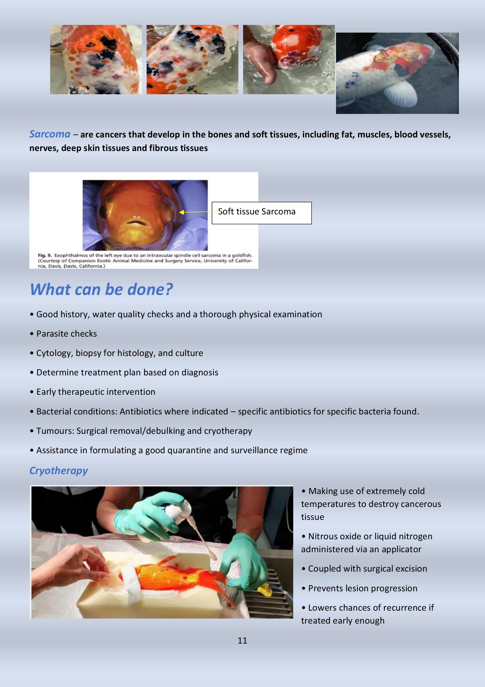 Newsletter # 10 December 2024 - final_00011